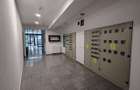 3 camere 2008.Pache Protopopescu