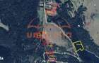 Teren de vanzare in Belis 6.449m2, 19 m2 - 2