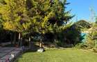 YSAIA IMOBILIARE - CASA DE VANZARE - TEREN 330 MP - ZONA LINISTITA - - 3
