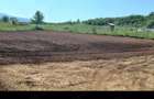 Teren 1000 mp, ideal constructie casa - 1