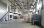 HALA,SPATIU,AUTORIZAT-I.S.U.-SHOWROOM,DEPOZIT-Nicolae Balcescu -BACAU - 2