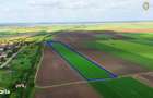 Teren cu potential 6,9 ha in Munar