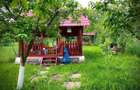 Casa 2 camere de inchiriat cu gradina, cartier Dambul Rotund - 7