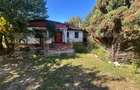 Casa, 199 mp utili, 10.200 mp teren, Pucioasa