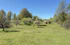 Teren intabulat de vanzare in satul Breb, Maramures - 4