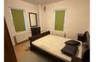 Apartament 3 camere parcul Tineretului - 7