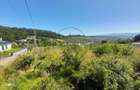 TEREN 990MP,VALEA JELNII - 3