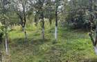 Vand casa locuibila Visea - 2