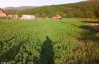 Teren 1381 mp intravilan Cristian jud Brasov - 6