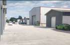 Pantelimon Oras Primarie - Hala de vanzare   -1100 mp-160.000 euro - 4