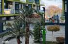 Apartament cu 2 camere de inchiriat Alezzi Resort Mamaia Constanta - 1
