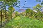 Casă P+1 cu teren, livadă și vie – Pucioasa| Acces facil Sinaia - 25
