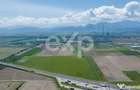 Teren 6.753 mp cu PUZ aprobat Sanpetru | Dezvoltare rez - 9