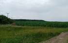 Vand teren intravilan Darvari, capat linie 423 - 2