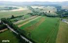 Teren 10,000mp Nemtisor / DJ 155C - 2