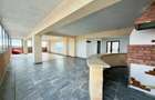 PENTHOUSE EXCLUSIVIST IN INIMA CRAIOVEI | 317 mp utili + 393 mp terase, Centru - 15