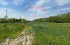 Teren 138.104 mp Dragomiresti-Vale, Ilfov, langa A0 - 9