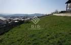 Teren de vanzare 10 ari - zona LEONI - 5