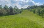 Teren de vanzare-zona Schiulesti Prahova - 7