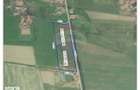 Teren intravilan industrial de vanzare - 9505 mp - Tileagd - 1