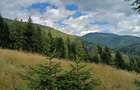 Teren extravilan Campu lui Neag(Fetele Toplitei)-judetul Hunedoara - 2