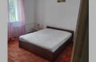 Apartament 2 camere de inchiriat Dristor Langa Farmacia Tei Park Lake - 3