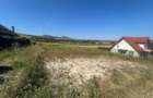 TEREN INTRAVILAN /ALMAS - 7