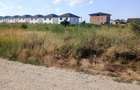 Vanzare teren 630mp Pantelimon - Rascoalei - 7