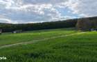 Teren INTRAVILAN cu PUZ, 2.200 eur/ar, rezidental, str. Razboieni - C