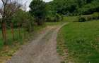 Teren intravilan 2.100 mp in Satul Boholt din Comuna Soimus, Jud. HD, la intrare in sat. - 7