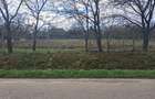 Vand teren intravilan 2800 m2 - Sat Botesti - comuna Horodniceni - jud Suceava. - 1