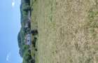 Vand teren plus lac plus 2 cabane si foisor