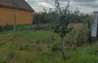 teren intravilan Petrovaselo, Recas - 5