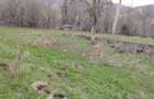 Teren de vanzare Bisoca - 5