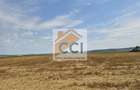 Teren intravilan 50.000 mp, Bacau, ?oseaua Hol - 7