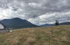 Teren de vanzare 2100 m2 zona Tohanita Zarne?ti - 3