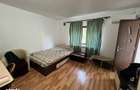 Apartament 1 camera IC Frimu - 3