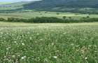 Parcele in AgroVillage este intr-o locatie de poveste, intre dealuri si paduri, - 2