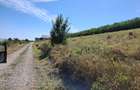 Proprietar Vand teren intravilan, 975 mp, Str. Pietrelor, Piatra Neamt - 3