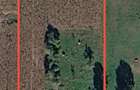 Casa de caramida de vanzare cu aproape un hectar de teren - C be?ti, jud. Bihor - 4