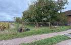 Vand teren intravilan 2000m2 in sat Hotarel, langa ?tei cu toate utilita?ile - 6