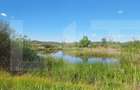 Teren de vanzare, 1600 mp, iesire la lacul Surduc