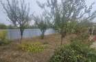 CASA P+M , 150 mp, TEREN 3000 MP ,FILIASI( FRATOSTITA) , COM - 9