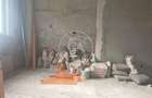 Spatiu comercial cu 6 camere de inchiriat in Sanmartin Bihor - 6