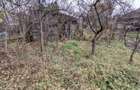 Casa de vanzare, 2 camere, 900 mp teren, Dambul Rotund zona Dedeman - 9