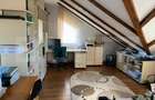 Casa deosebita in Valea Voievozilor - 4