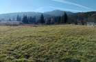 Teren de vanzare in Bucovina - 10