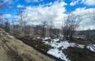 TEREN, 10000 mp, Paulesti (Gegeni) - 6