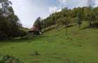 Teren de 3000 mp, în Ponor - 1