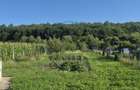 Casuta si teren 1000mp , Valea Magherusului - 1